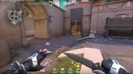 A site Razorvine setup 2 (Image via Riot Games)